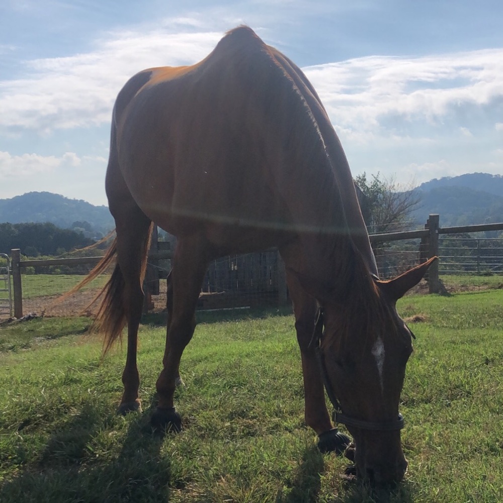 Meet your Posher, Meg